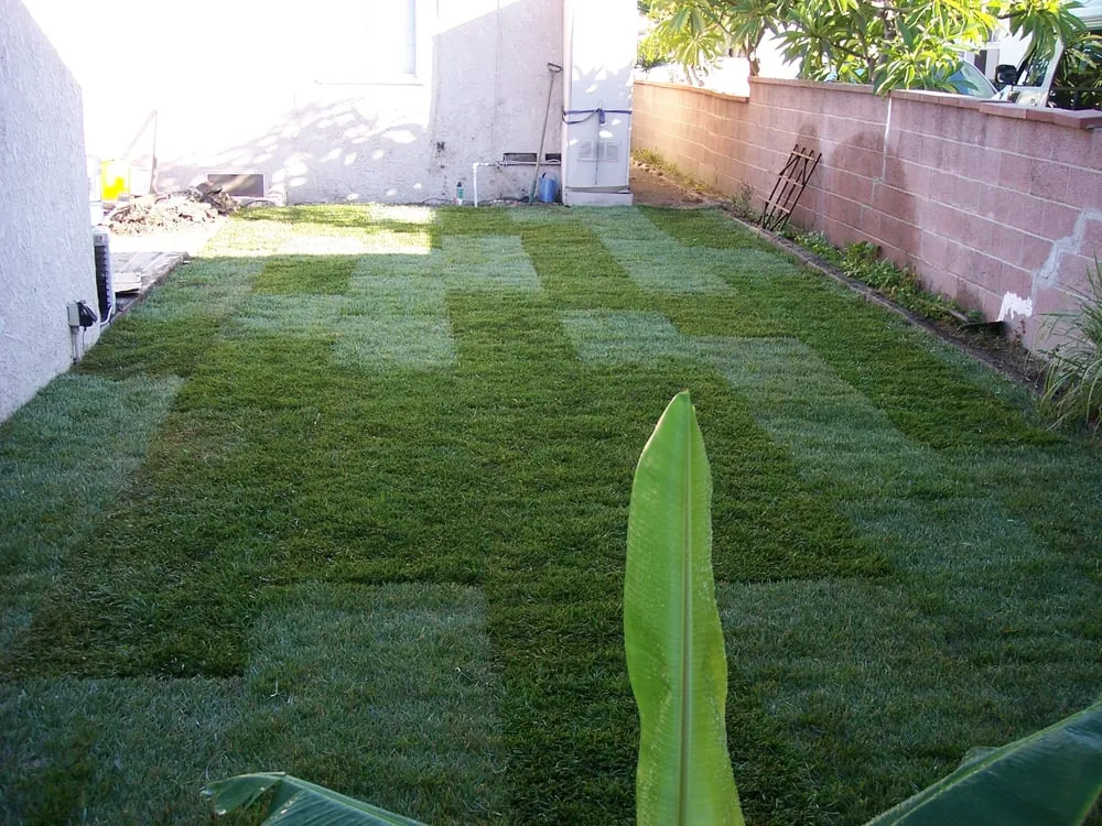 Top-rated lawn mowing service in La Mirada, CA by Throckmorton's Gardening And Landscape