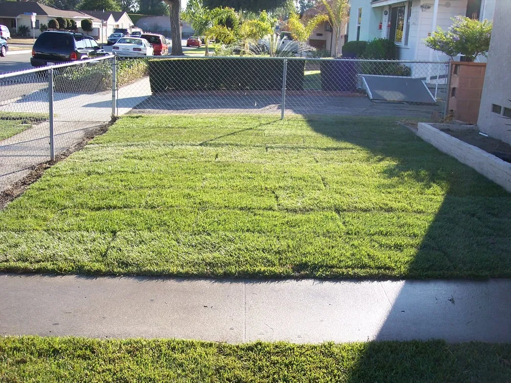 Top-rated landscape installation in La Mirada, CA by Throckmorton's Gardening And Landscape