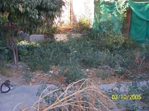 Trusted garden landscaping in La Mirada, CA by Throckmorton's Gardening And Landscape