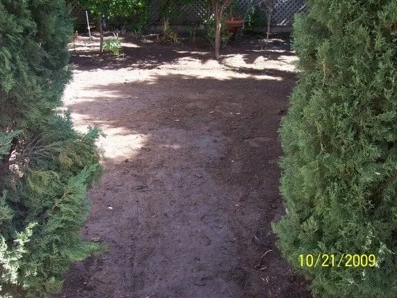 Trusted landscaping services in La Mirada, CA - Throckmorton's Gardening And Landscape