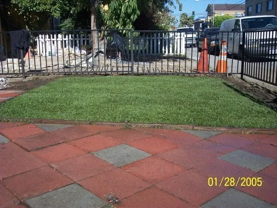 Affordable residential landscaping in La Mirada, CA by Throckmorton's Gardening And Landscape