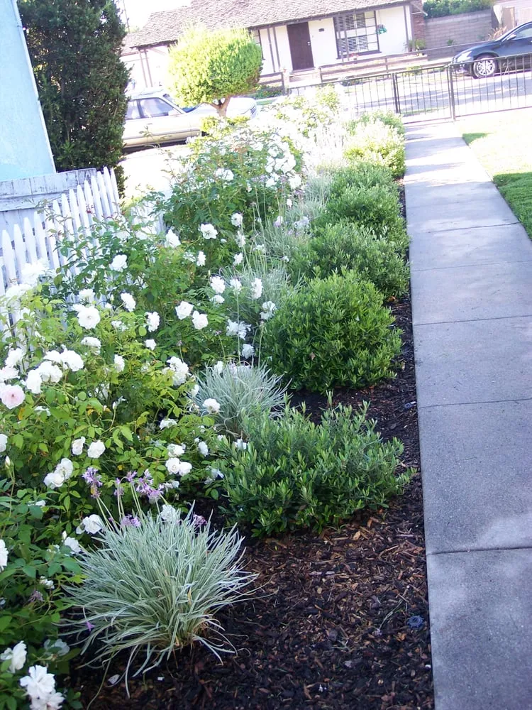 Affordable yard maintenance in La Mirada, CA by Throckmorton's Gardening And Landscape