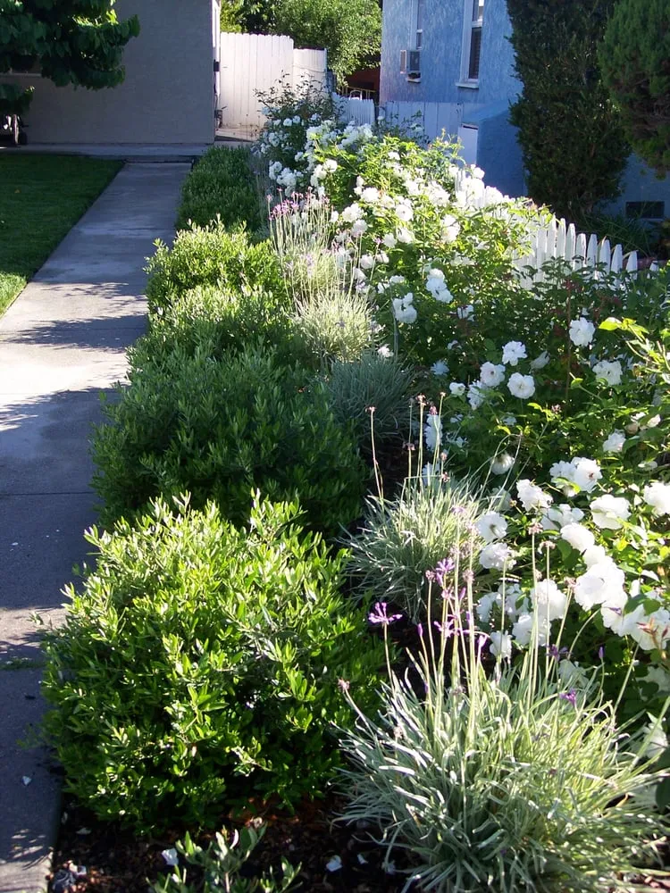 Custom landscape installation experts serving La Mirada, CA - Throckmorton's Gardening And Landscape