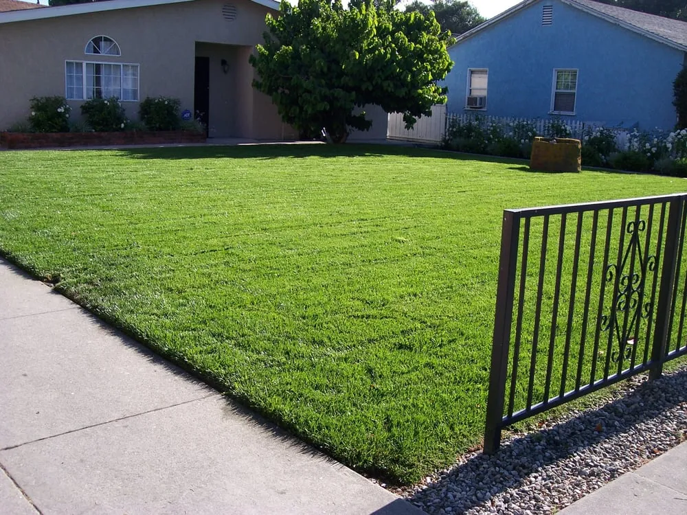 Professional landscape design in La Mirada, CA by Throckmorton's Gardening And Landscape