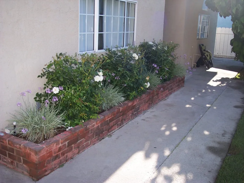 Top-rated residential landscaping experts serving La Mirada, CA - Throckmorton's Gardening And Landscape