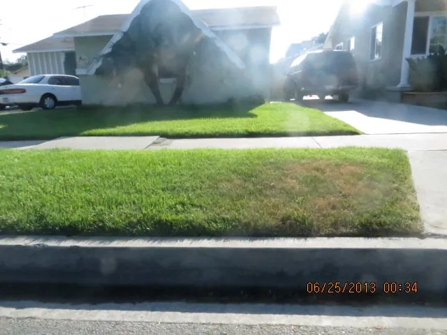 Affordable outdoor landscaping for homes across La Mirada, CA - Throckmorton's Gardening And Landscape