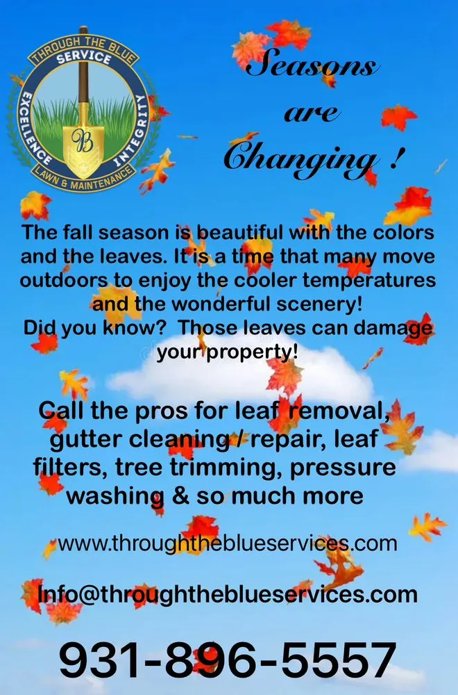 Affordable garden landscaping in Clarksville, TN by Through The Blue Lawn & Maintenance