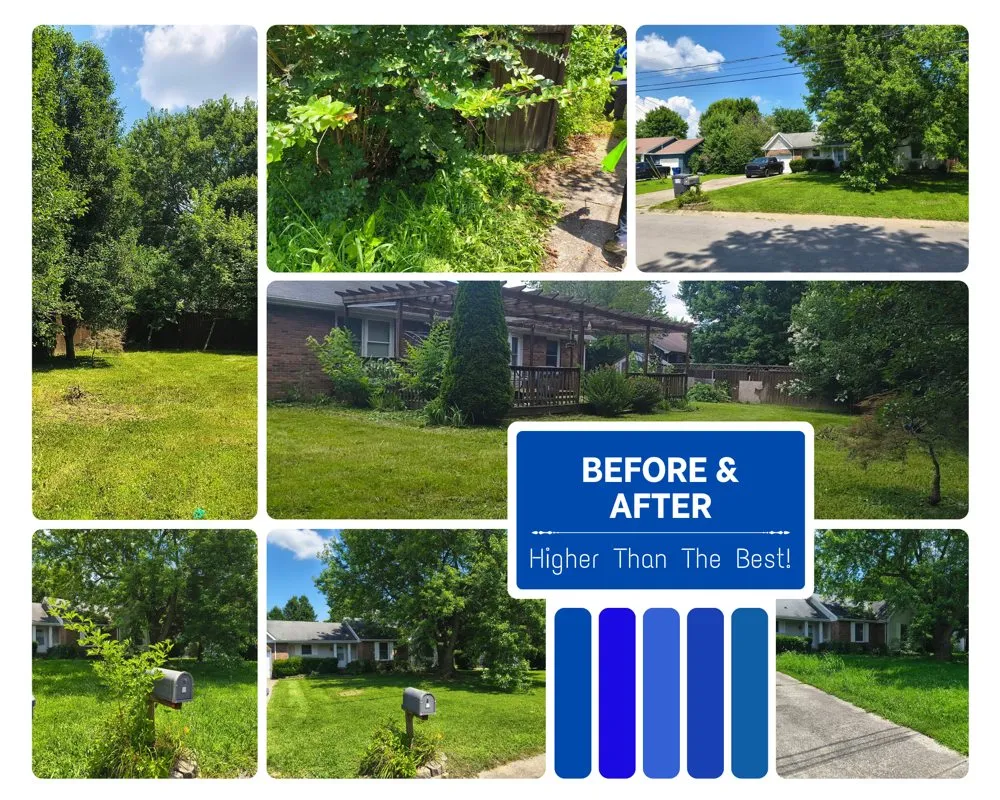Custom yard cleanup service for year-round maintenance in Clarksville, TN by Through The Blue Lawn & Maintenance