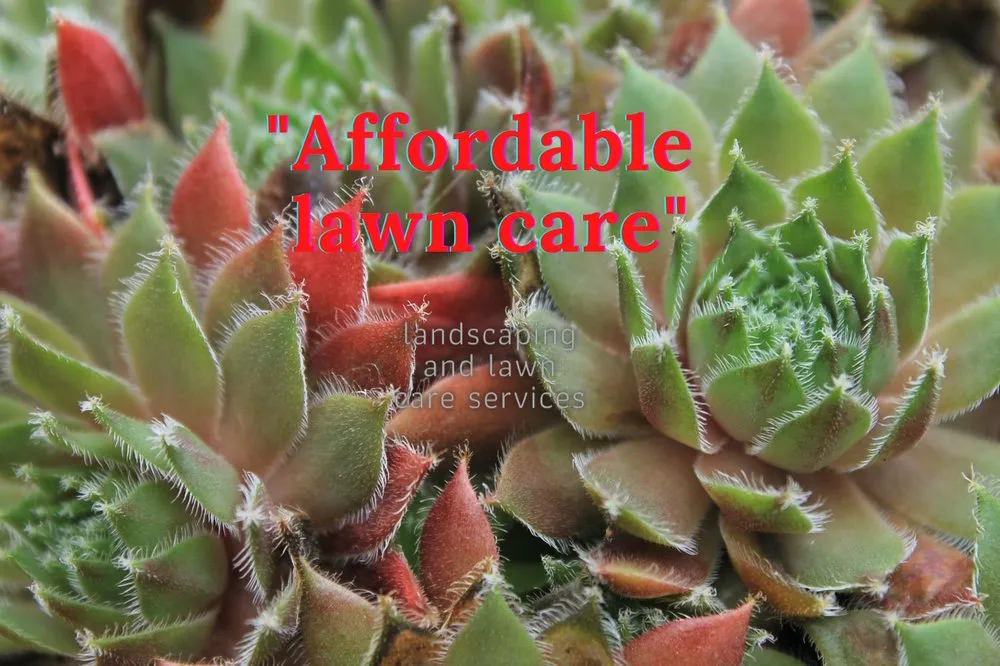 Trusted lawn care service in Savannah, GA by Thrugreen International Landscaping