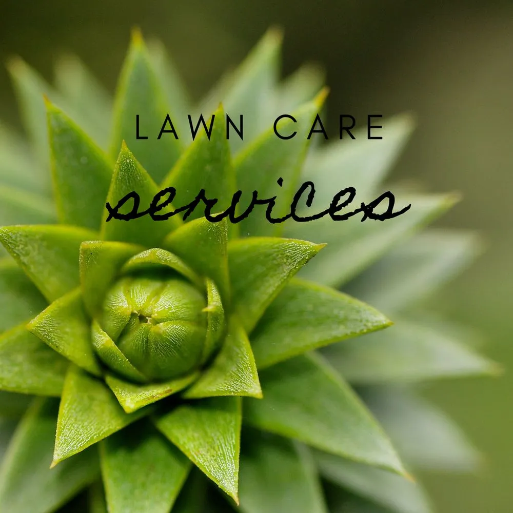 Trusted landscape installation experts serving Savannah, GA - Thrugreen International Landscaping