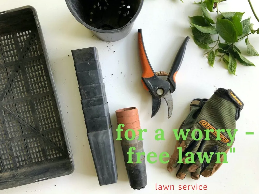 Top-rated residential landscaping experts serving Savannah, GA - Thrugreen International Landscaping