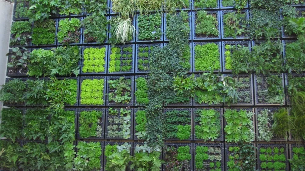 Trusted outdoor landscaping experts serving San Francisco, CA - Thumbellina Gardens