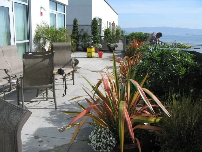 Trusted garden landscaping experts serving San Francisco, CA - Thumbellina Gardens