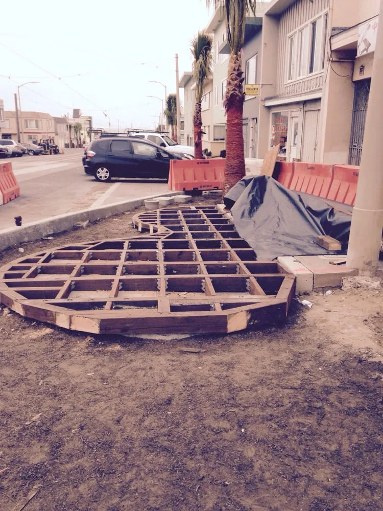 Reliable yard maintenance in San Francisco, CA by Thumbellina Gardens