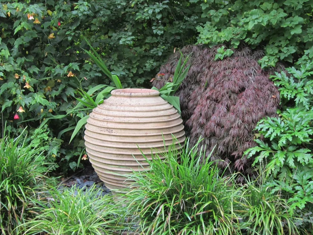 Reliable landscape design experts serving San Francisco, CA - Thumbellina Gardens