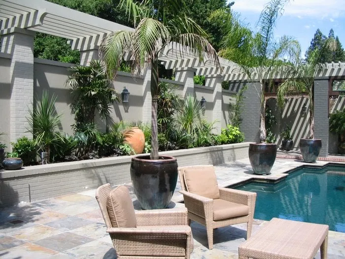 Custom yard maintenance in San Francisco, CA - Thumbellina Gardens