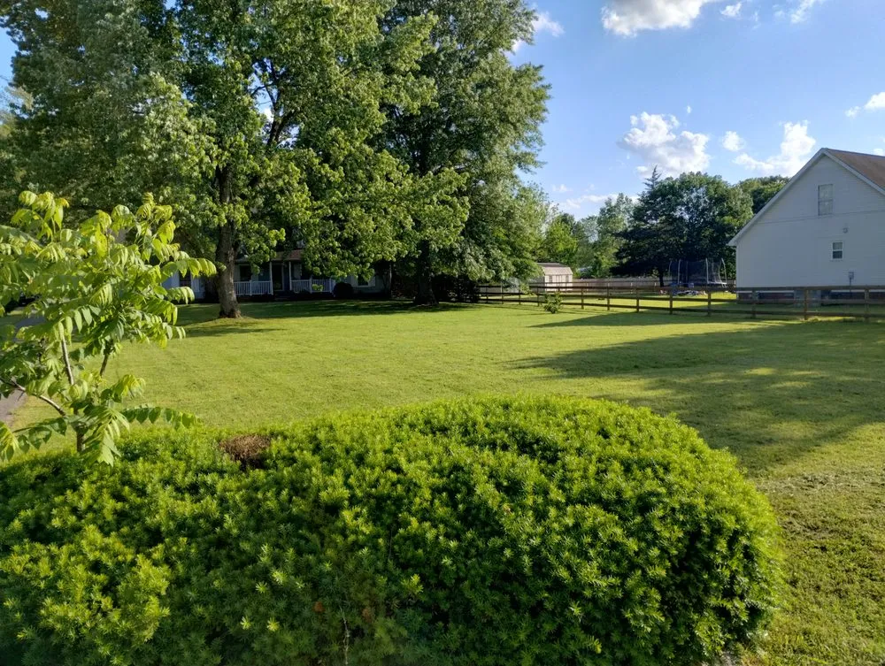 Affordable outdoor landscaping for year-round maintenance across Murfreesboro, TN - Thumbs Lawn Care