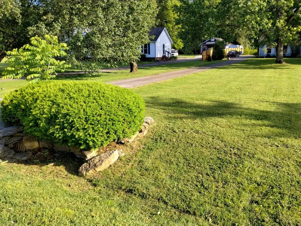 Reliable lawn mowing service with custom design in Murfreesboro, TN by Thumbs Lawn Care