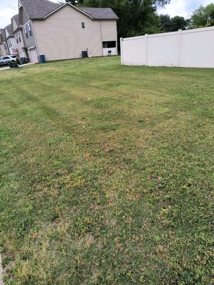 Professional yard cleanup service with custom design across Murfreesboro, TN - Thumbs Lawn Care