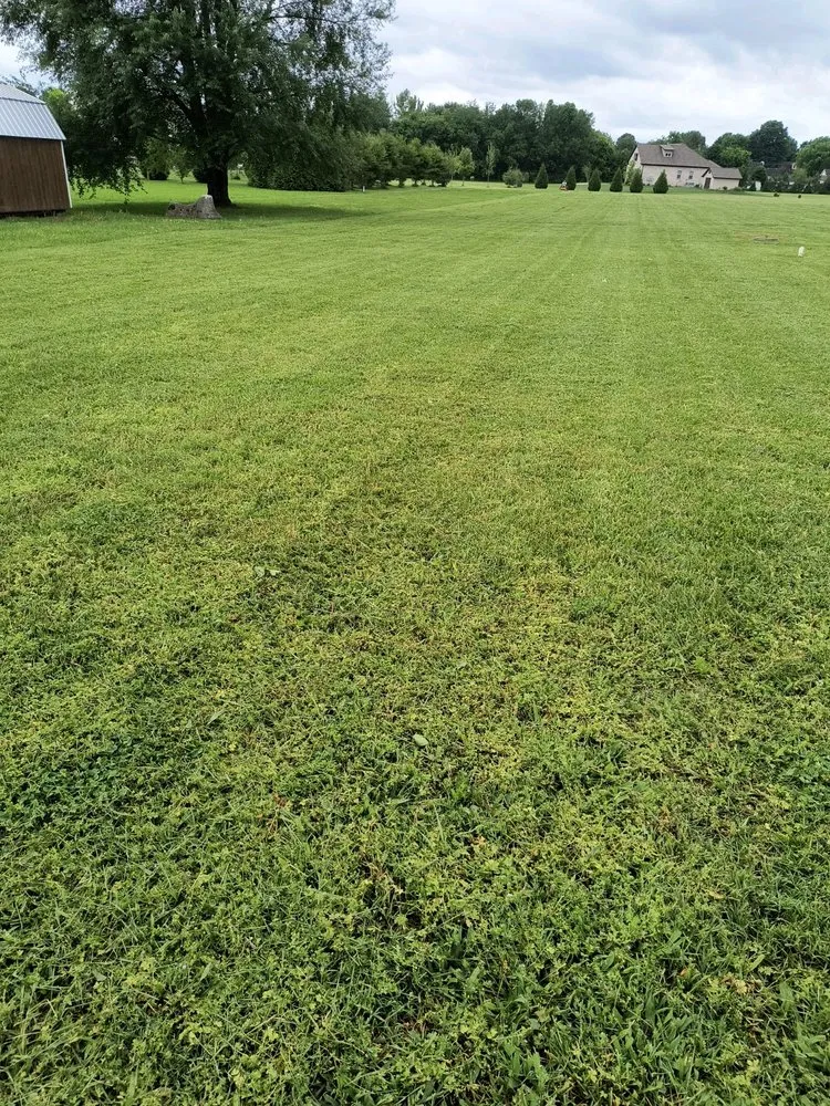 Top-rated landscaping services experts serving Murfreesboro, TN - Thumbs Lawn Care