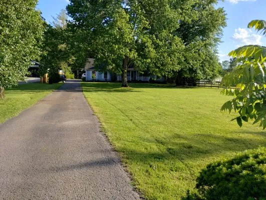 Thumbs Lawn Care Logo