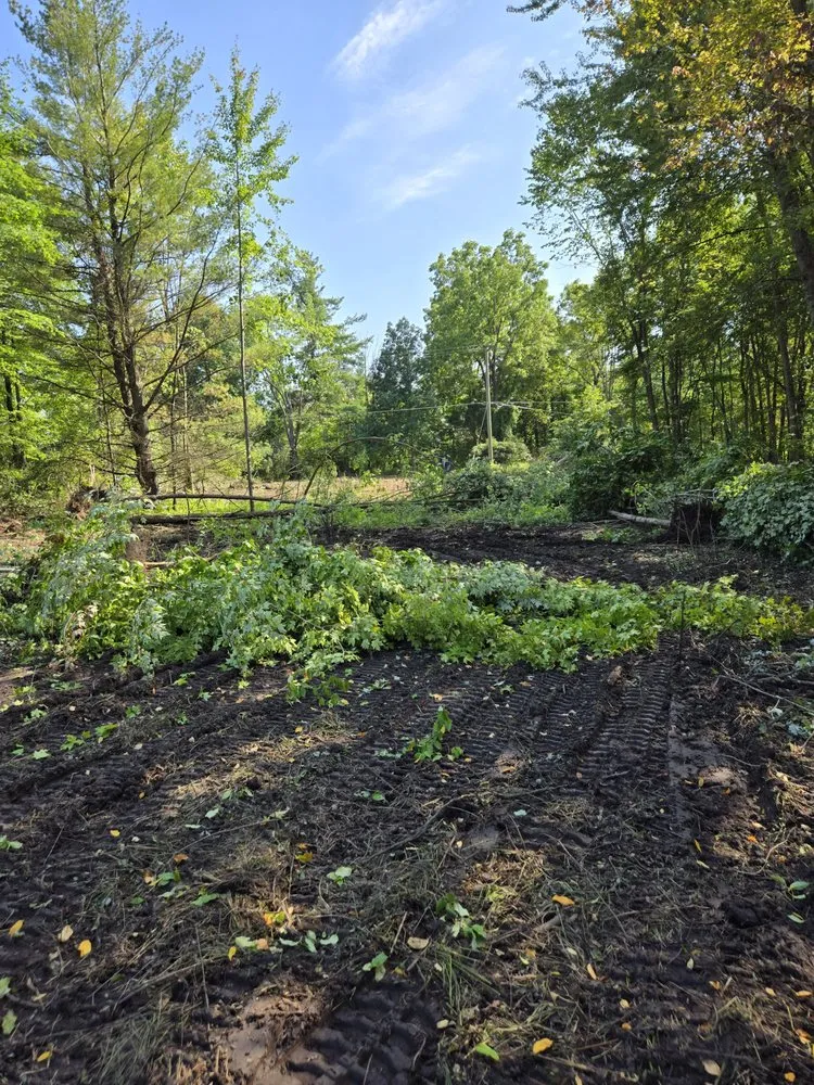 Professional yard maintenance in North Branch, MI - Thumbs up excavation