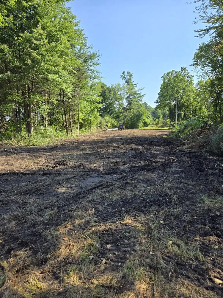 Affordable yard maintenance for beautiful yards in North Branch, MI by Thumbs up excavation