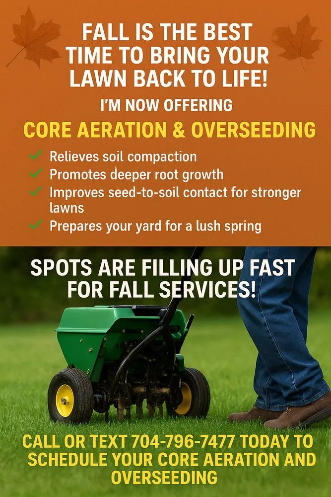 Custom yard cleanup service for year-round maintenance in Concord, NC by Thumbsup Service