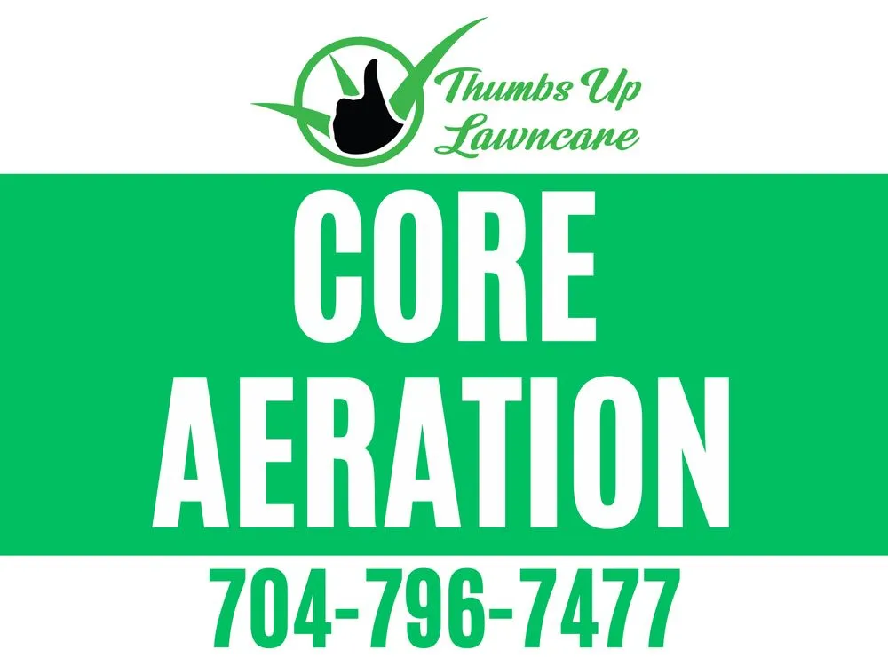 Top-rated yard cleanup service for residential properties across Concord, NC - Thumbsup Service