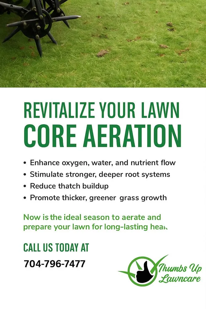 Local yard maintenance experts serving Concord, NC - Thumbsup Service