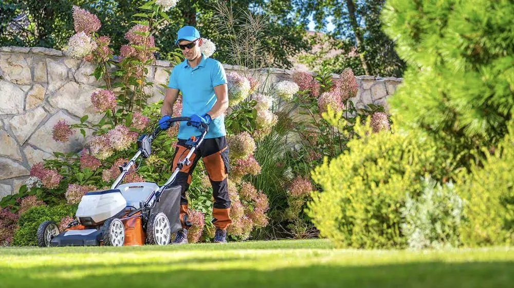 Professional lawn care service for outdoor upgrades in Dallas, TX by Thumbtack Lawncare