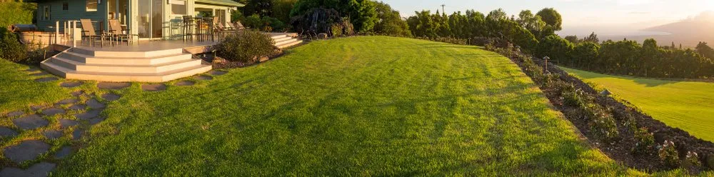 Professional landscaping services in Dallas, TX by Thumbtack Lawncare