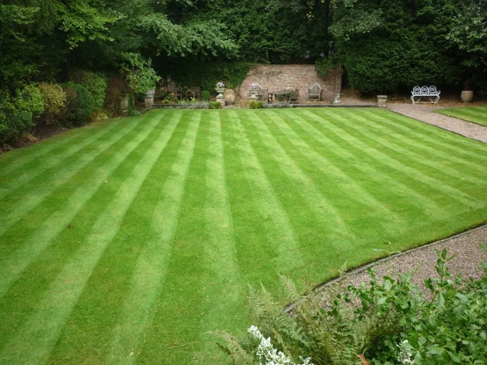Affordable lawn care service with custom design in Dallas, TX by Thumbtack Lawncare