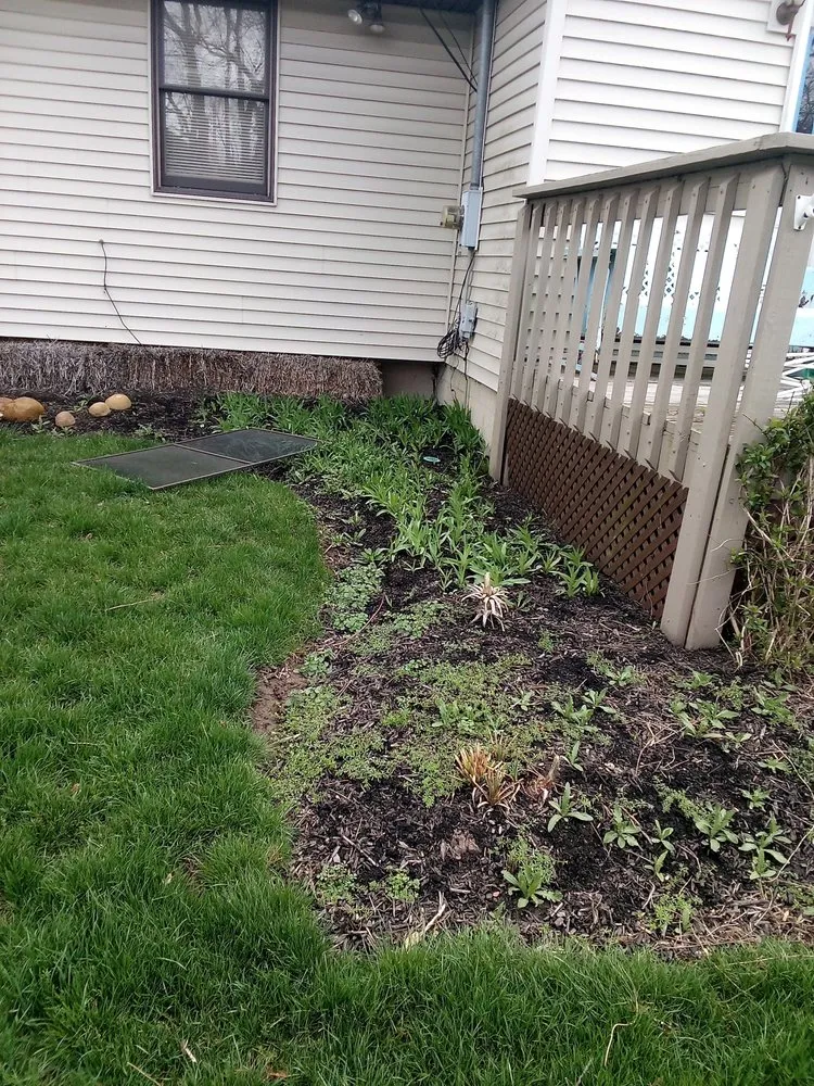 Affordable yard cleanup service in Columbus, OH by Thumper's Landscaping