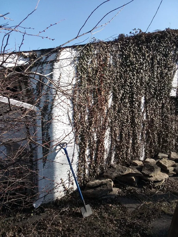 Professional landscape installation for outdoor upgrades in Columbus, OH by Thumper's Landscaping