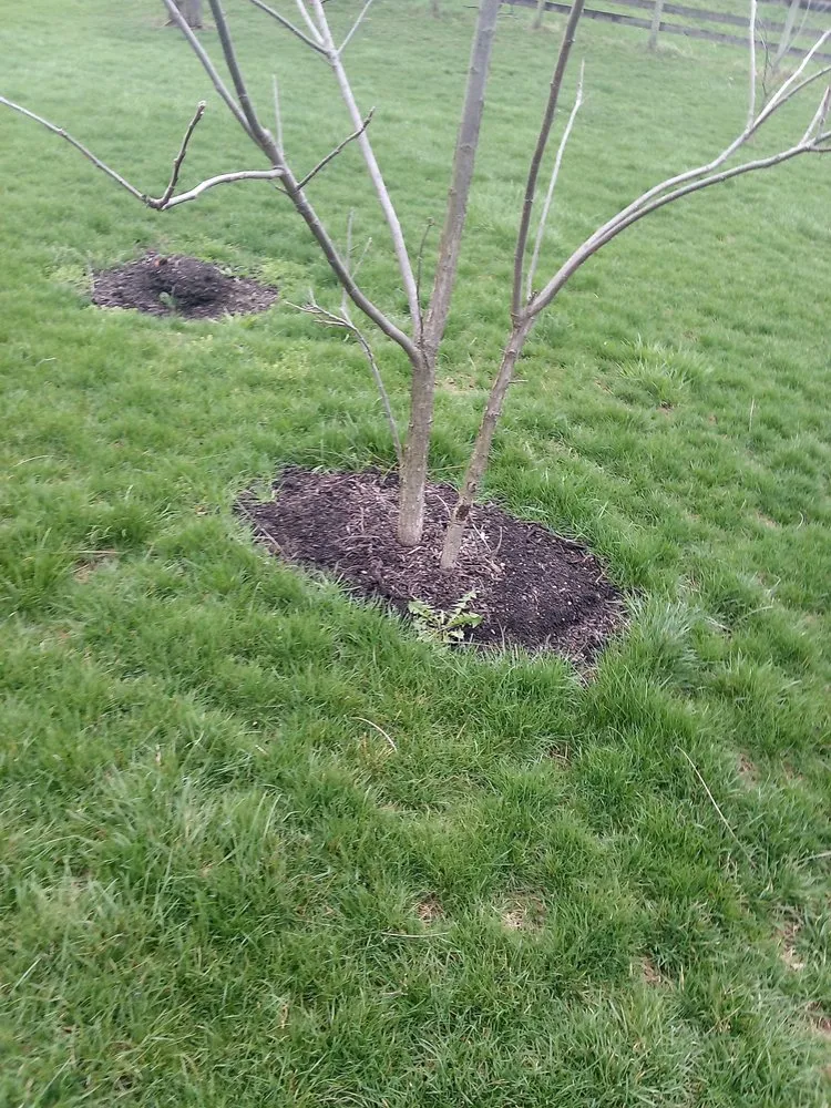 Professional landscape design with custom design across Columbus, OH - Thumper's Landscaping