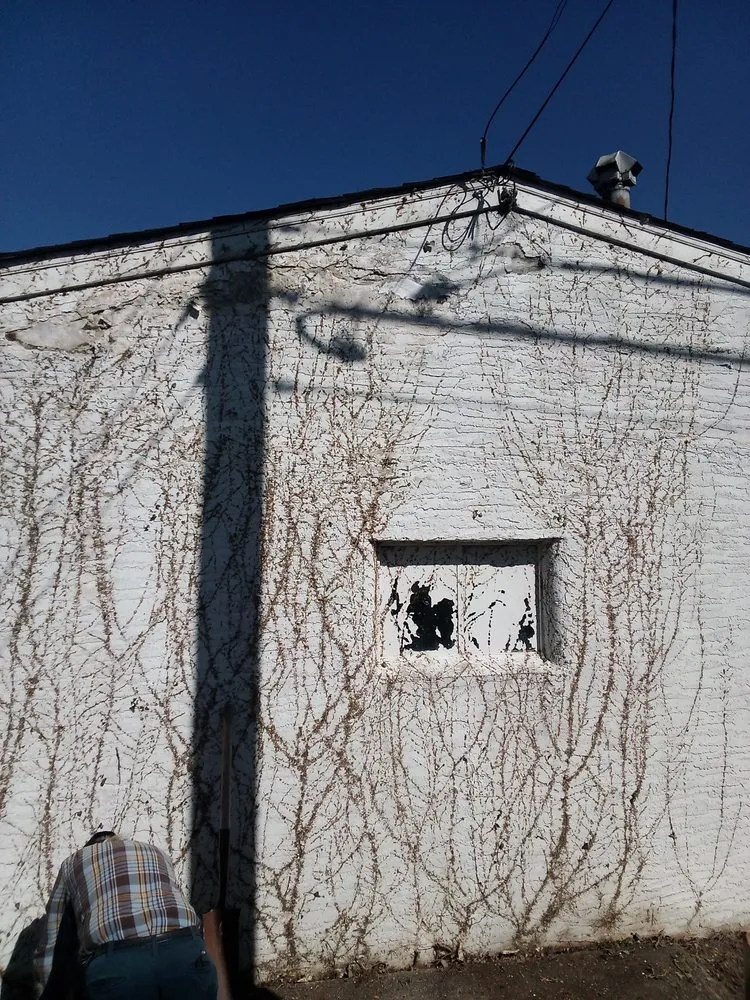 Affordable residential landscaping in Columbus, OH by Thumper's Landscaping