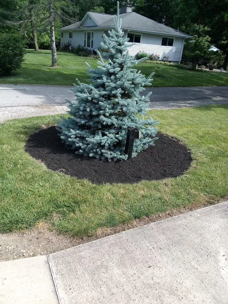 Expert landscape installation in Columbus, OH by Thumper's Landscaping