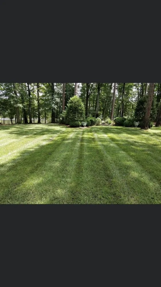 Expert landscape design in Waverly, VA by Thumpers Lawn Service