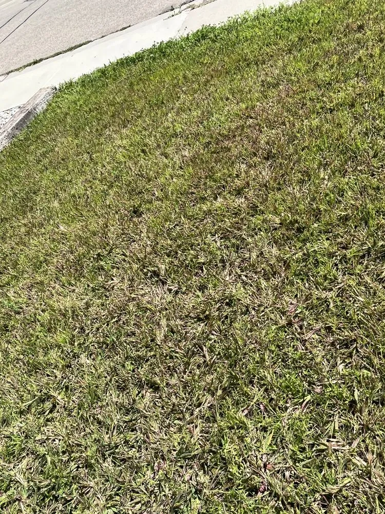 Custom garden landscaping experts serving Gillette, WY - Thunder Basin Hydroseed