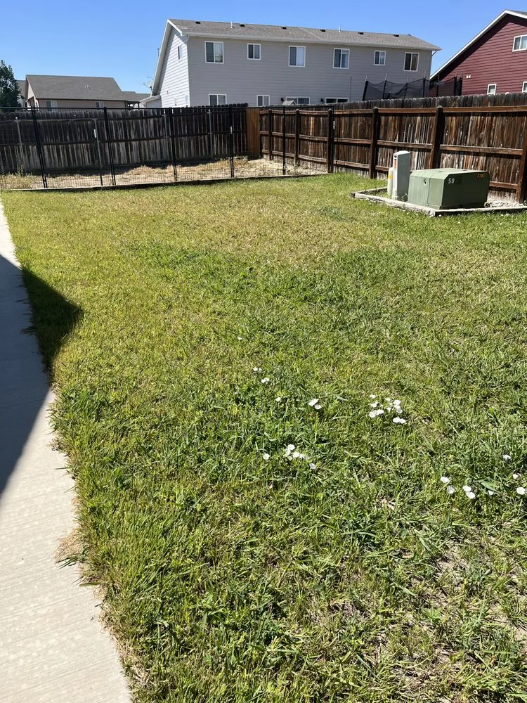 Custom yard cleanup service in Gillette, WY - Thunder Basin Hydroseed