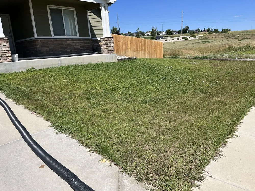 Affordable landscaping services experts serving Gillette, WY - Thunder Basin Hydroseed