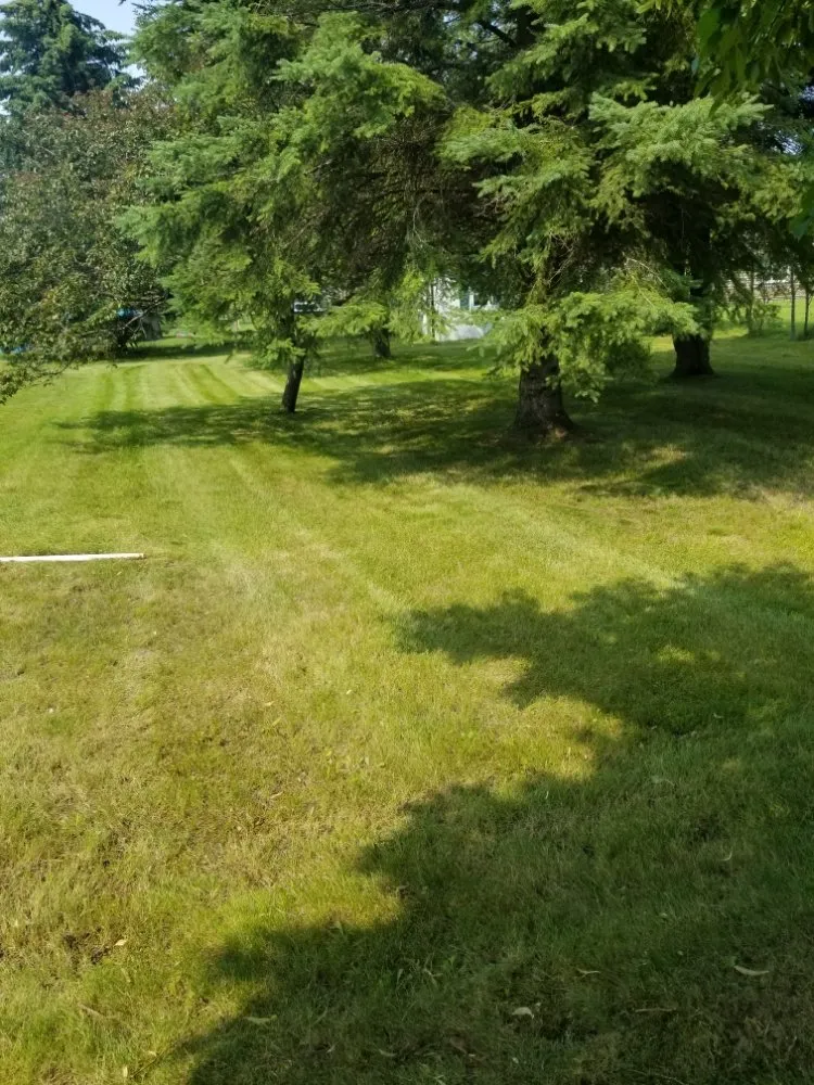Local landscape installation with custom design across Alpena, MI - Thunder Bay Lawn Care