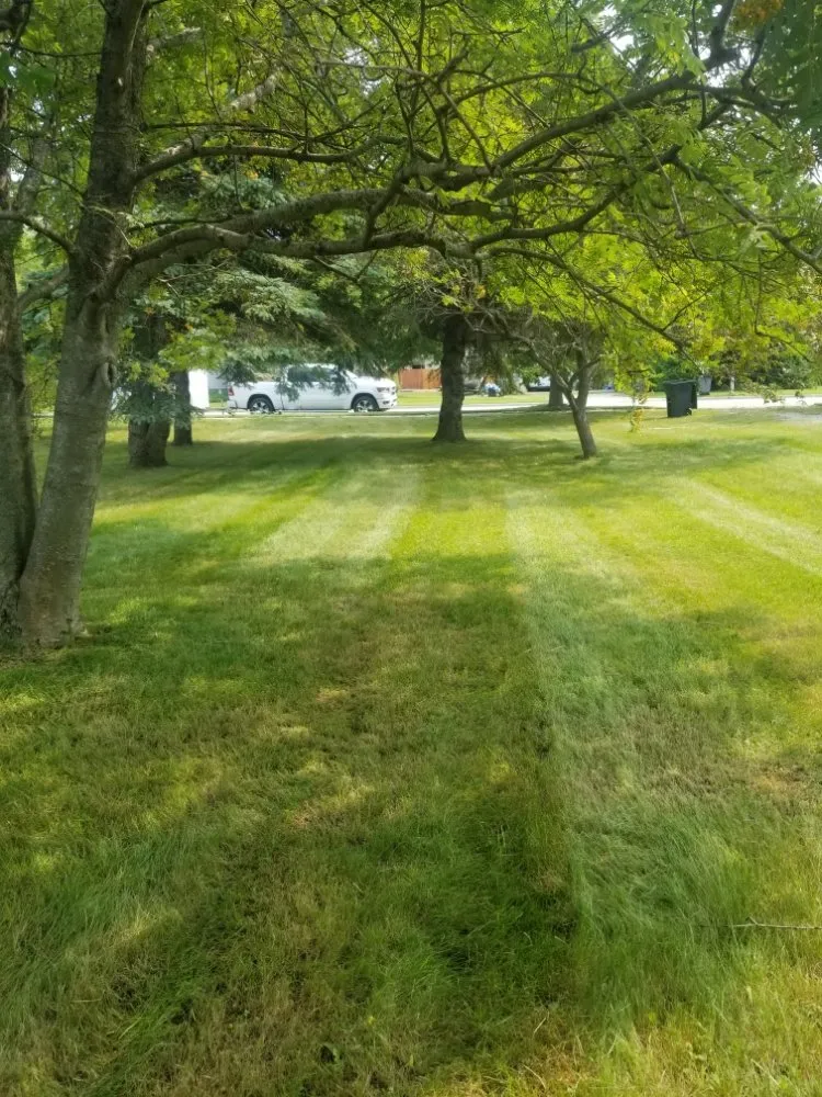 Custom yard cleanup service in Alpena, MI - Thunder Bay Lawn Care