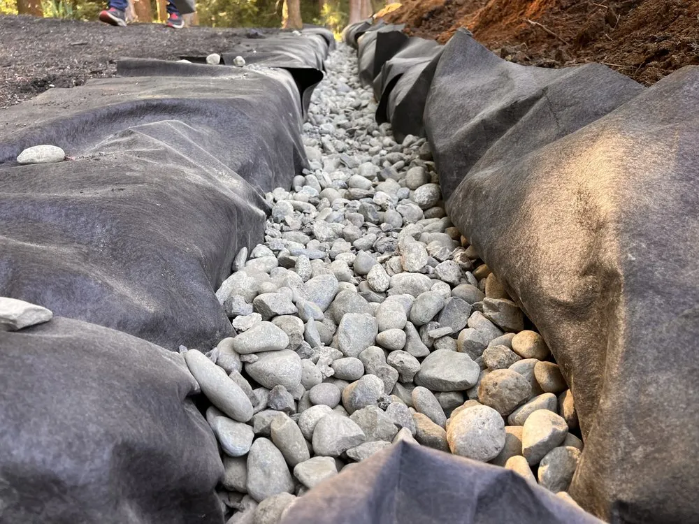 Professional yard maintenance in Burlington, WA by Thunder Landscaping