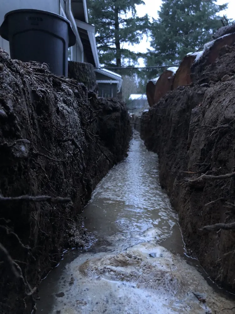 Affordable residential landscaping experts serving Burlington, WA - Thunder Landscaping