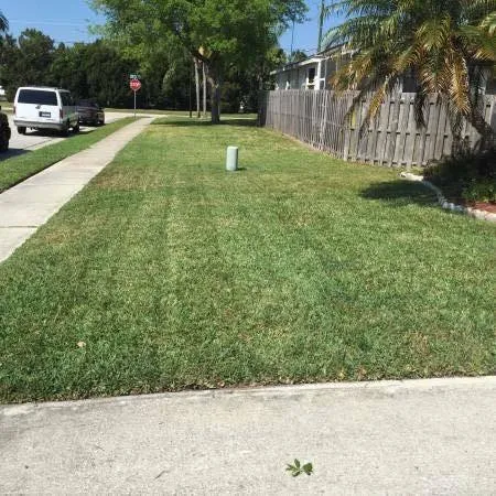 Local lawn care service for beautiful yards across Bradenton, FL - Thunder Lawn Care and Landscape