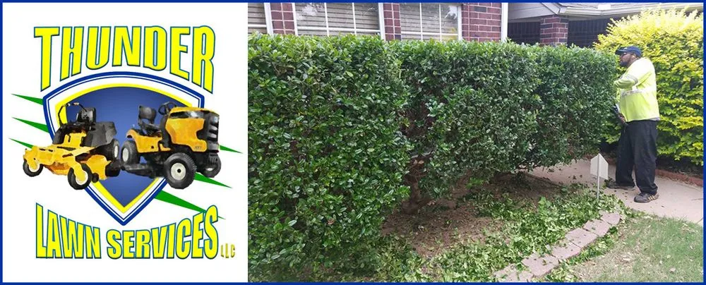 Affordable garden landscaping for outdoor upgrades across Oklahoma City, OK - Thunder Lawn Services