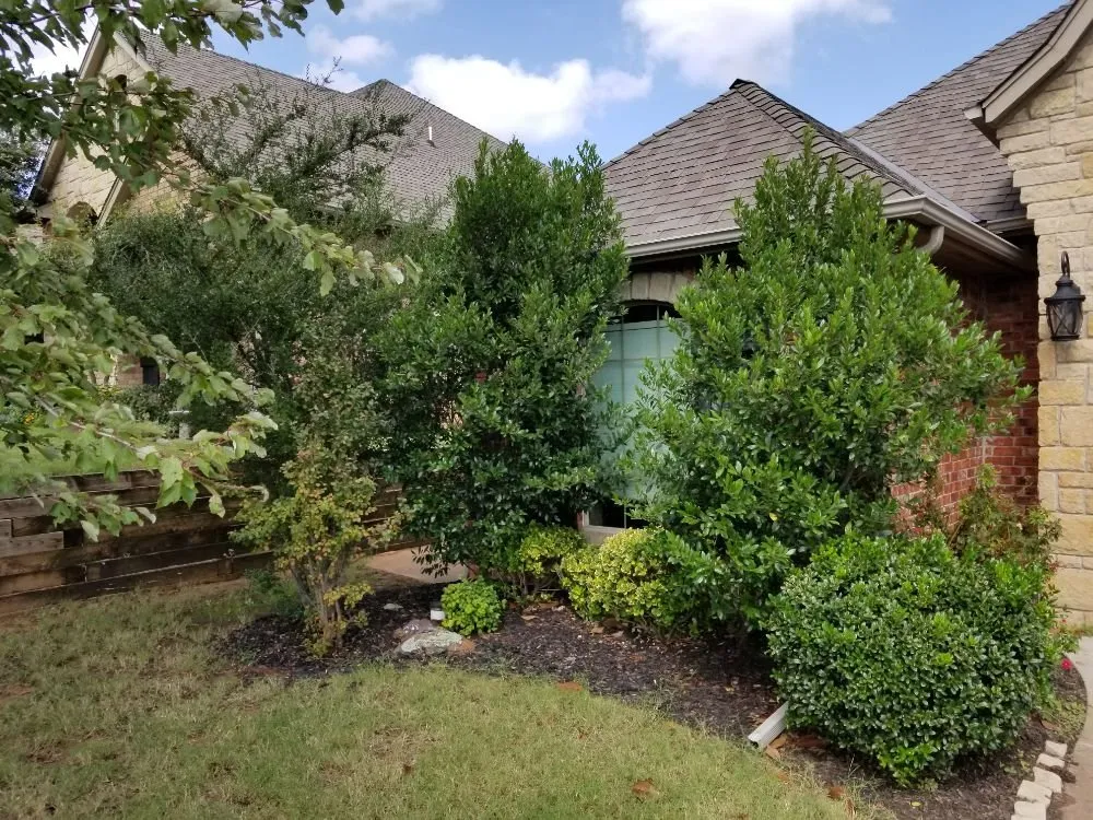 Expert landscape installation experts serving Oklahoma City, OK - Thunder Lawn Services