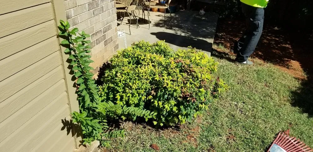 Professional landscaping services in Oklahoma City, OK - Thunder Lawn Services